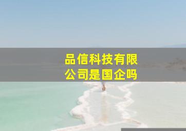 品信科技有限公司是国企吗