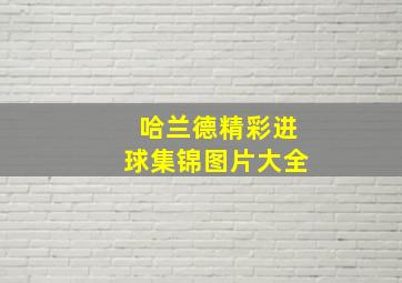 哈兰德精彩进球集锦图片大全