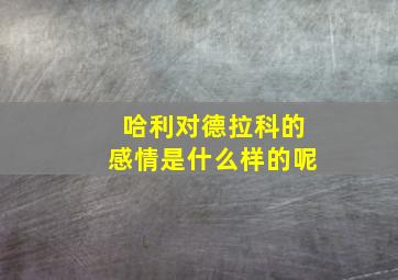 哈利对德拉科的感情是什么样的呢