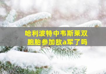 哈利波特中韦斯莱双胞胎参加敌a军了吗