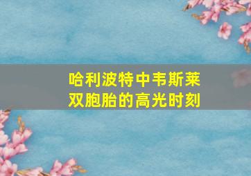 哈利波特中韦斯莱双胞胎的高光时刻