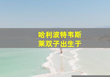 哈利波特韦斯莱双子出生于