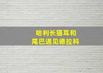 哈利长猫耳和尾巴遇见德拉科