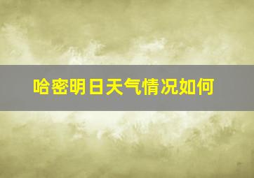 哈密明日天气情况如何