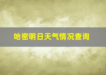 哈密明日天气情况查询