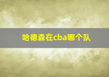 哈德森在cba哪个队