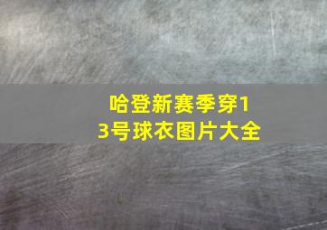 哈登新赛季穿13号球衣图片大全