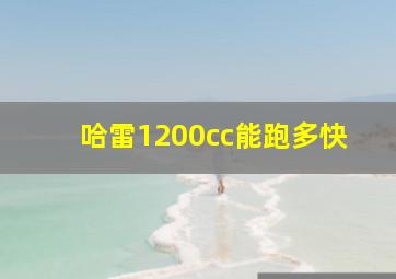 哈雷1200cc能跑多快