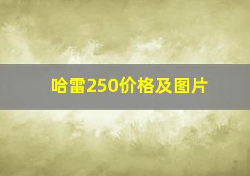 哈雷250价格及图片