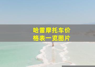 哈雷摩托车价格表一览图片