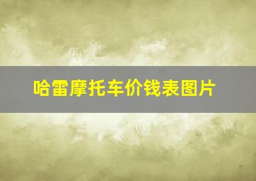 哈雷摩托车价钱表图片