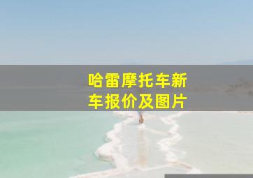 哈雷摩托车新车报价及图片