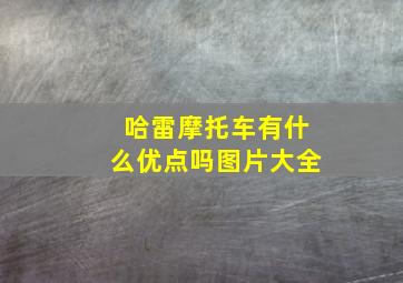 哈雷摩托车有什么优点吗图片大全