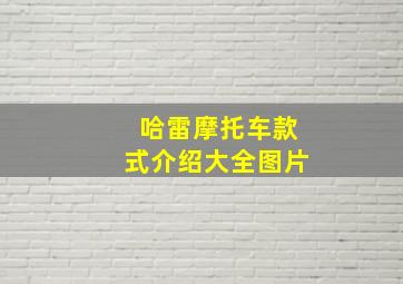 哈雷摩托车款式介绍大全图片