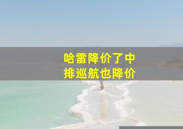 哈雷降价了中排巡航也降价