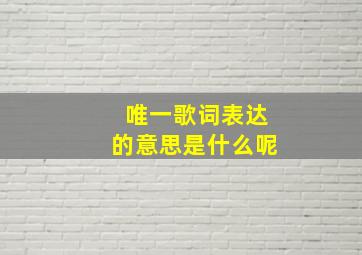 唯一歌词表达的意思是什么呢