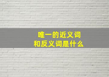 唯一的近义词和反义词是什么