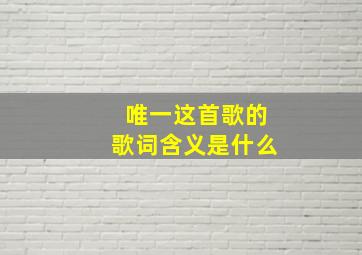 唯一这首歌的歌词含义是什么