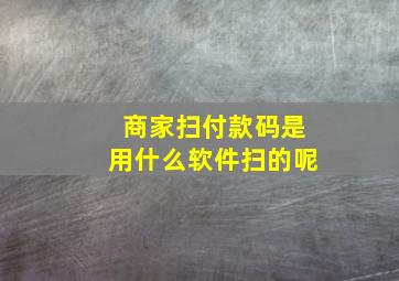 商家扫付款码是用什么软件扫的呢