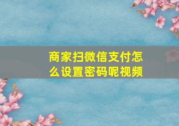 商家扫微信支付怎么设置密码呢视频