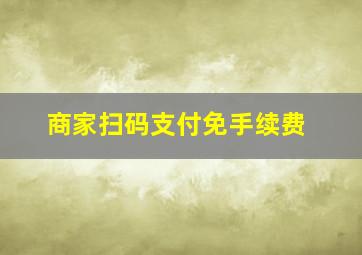 商家扫码支付免手续费