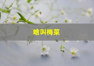 啥叫梅菜