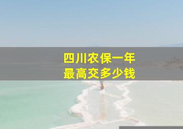 四川农保一年最高交多少钱