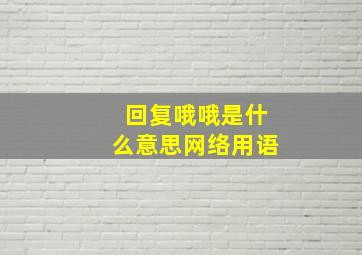 回复哦哦是什么意思网络用语