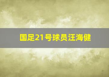 国足21号球员汪海健