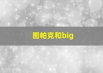 图帕克和big