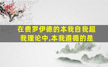 在费罗伊德的本我自我超我理论中,本我遵循的是