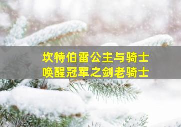 坎特伯雷公主与骑士唤醒冠军之剑老骑士