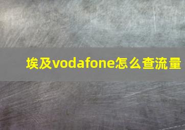 埃及vodafone怎么查流量