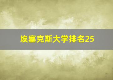 埃塞克斯大学排名25