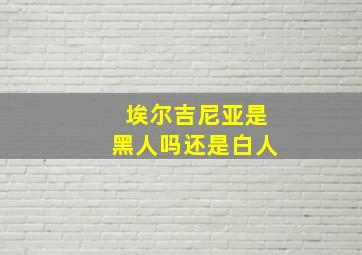 埃尔吉尼亚是黑人吗还是白人