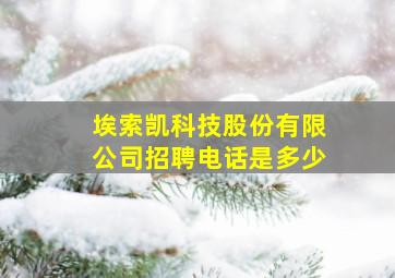 埃索凯科技股份有限公司招聘电话是多少