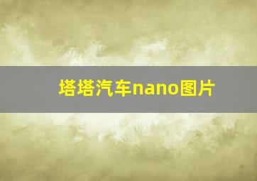 塔塔汽车nano图片