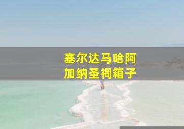 塞尔达马哈阿加纳圣祠箱子