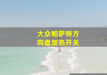 大众帕萨特方向盘加热开关