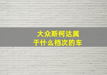 大众斯柯达属于什么档次的车