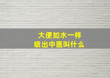 大便如水一样喷出中医叫什么