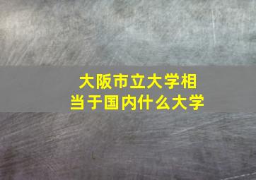 大阪市立大学相当于国内什么大学