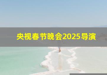 央视春节晚会2025导演