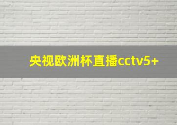 央视欧洲杯直播cctv5+