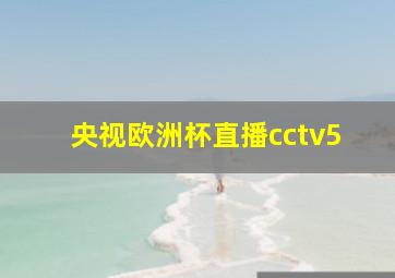 央视欧洲杯直播cctv5