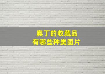 奥丁的收藏品有哪些种类图片