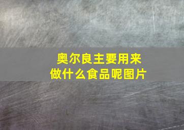 奥尔良主要用来做什么食品呢图片