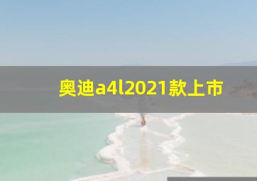 奥迪a4l2021款上市