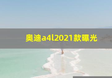 奥迪a4l2021款曝光