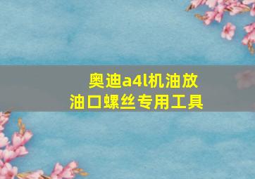 奥迪a4l机油放油口螺丝专用工具